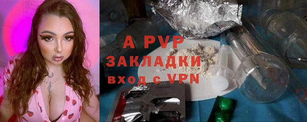прущие грибы Волосово