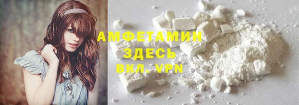 прущие грибы Волосово