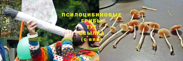 прущие грибы Волосово